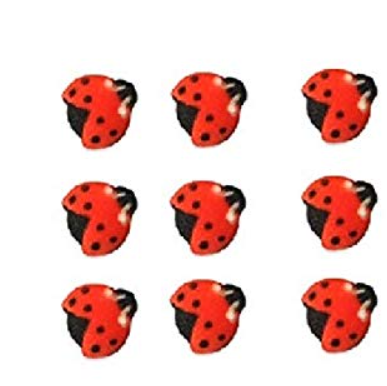 Lady Bugs