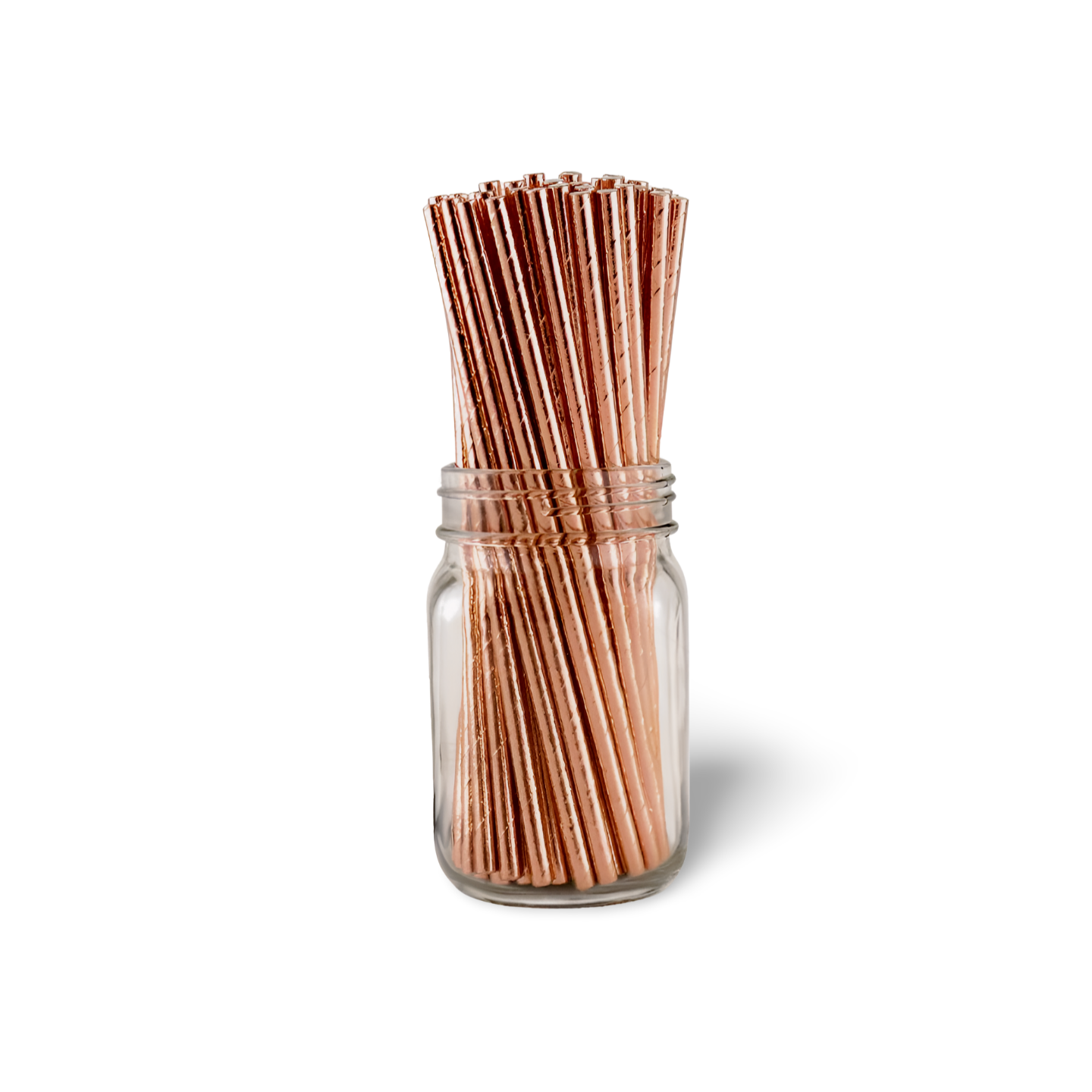 Paper Straws 24ct