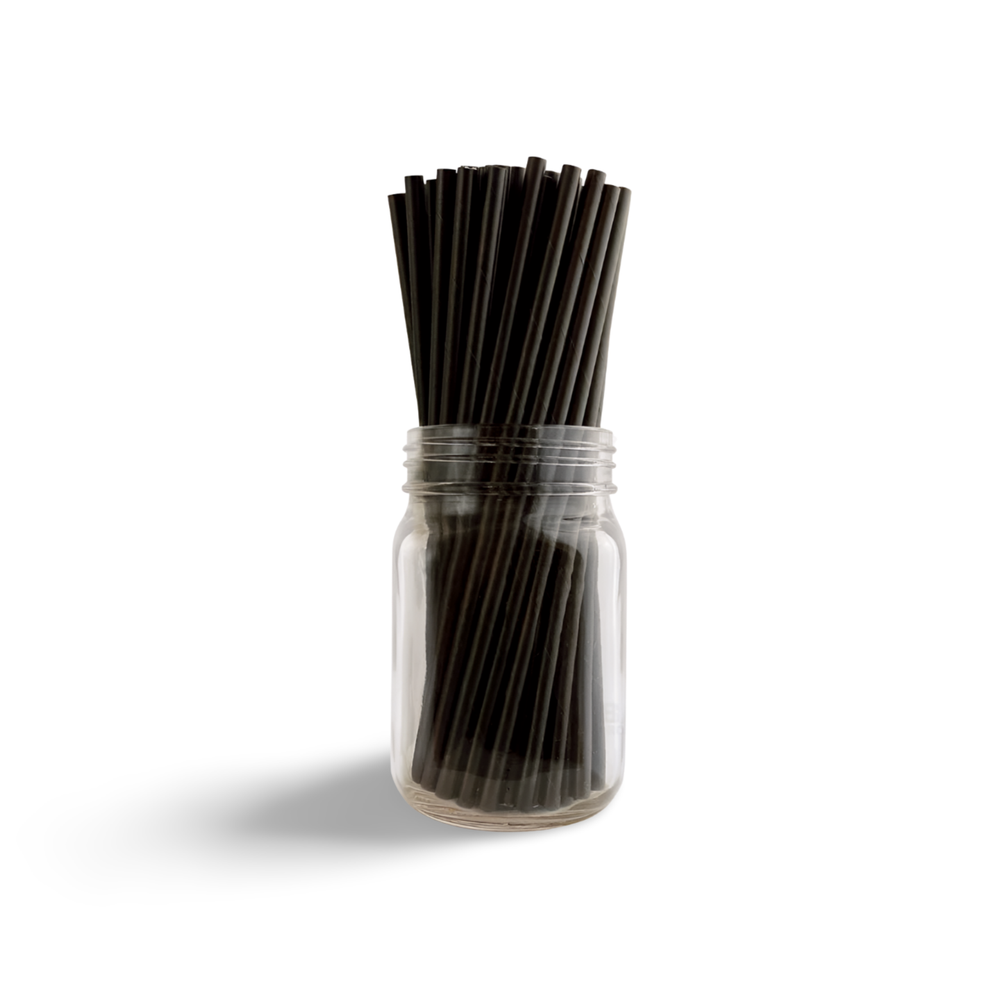 Paper Straws 24ct